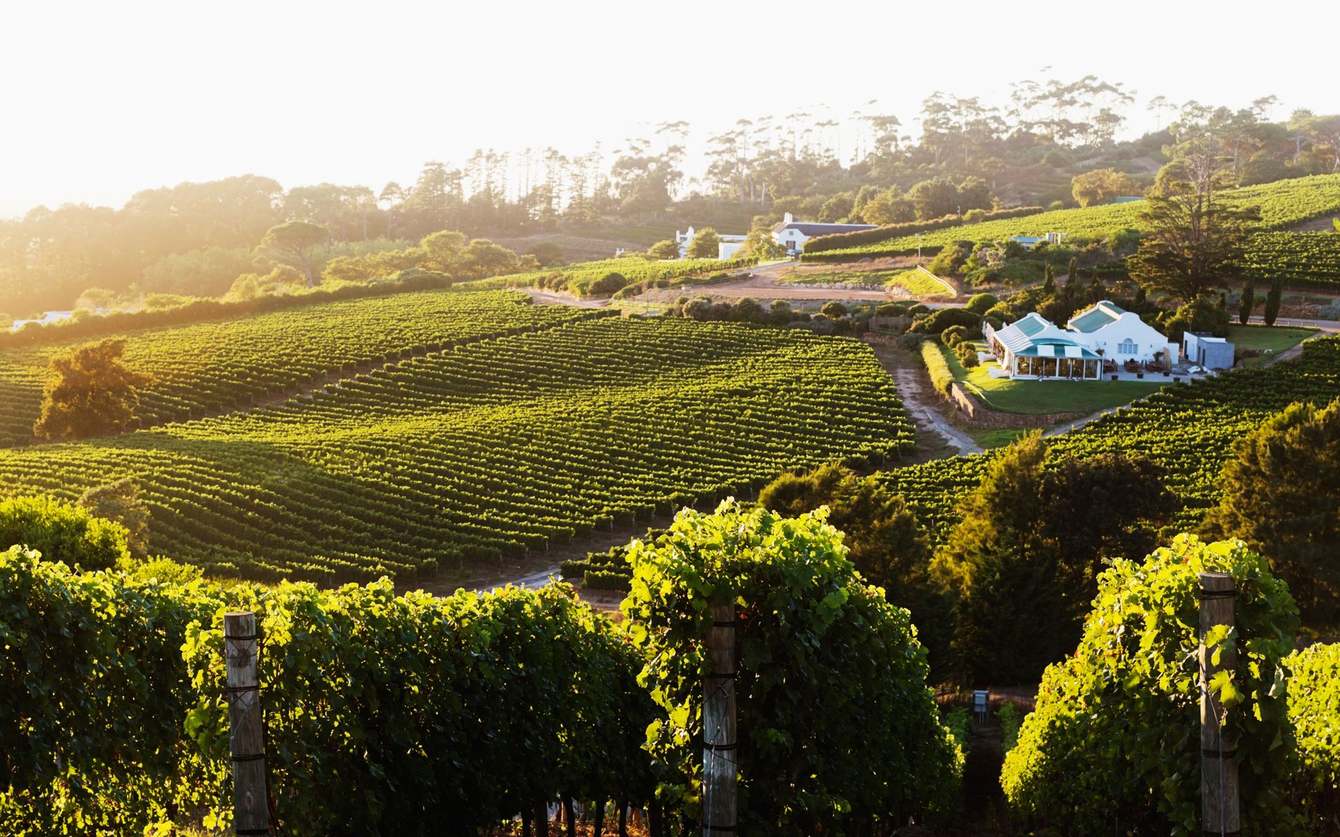 International Visa Service